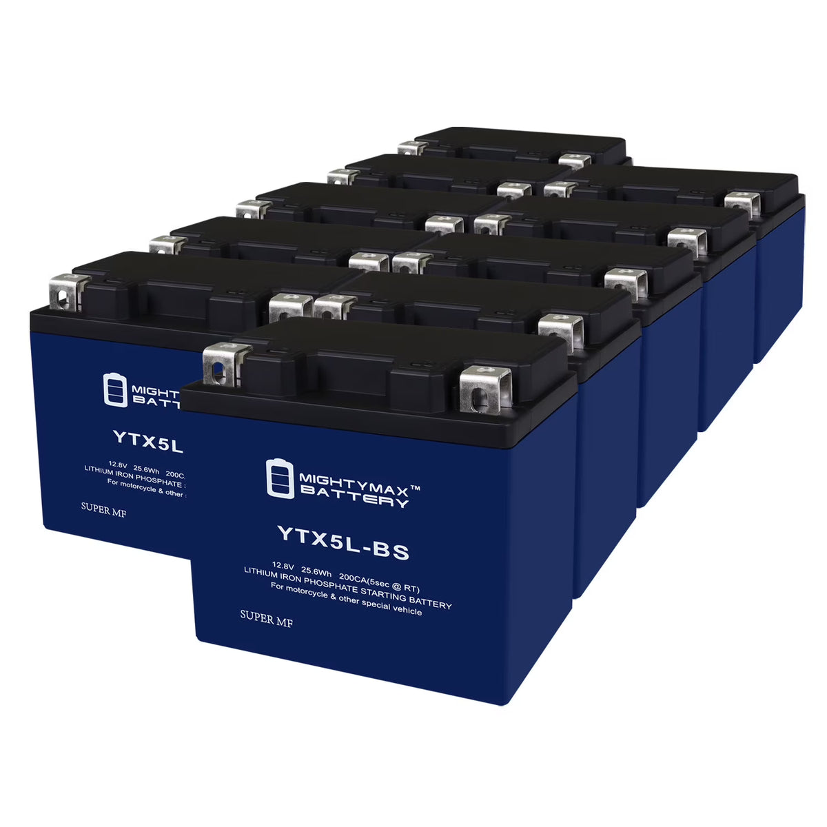 10 Pack Lithium Replacement Battery H47063