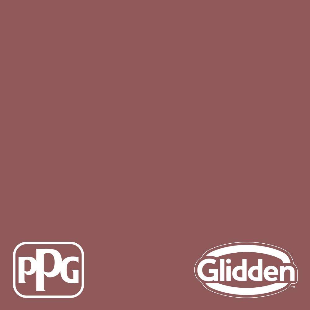 1 gal. Satin Exterior One-Coat Paint with Primer X100